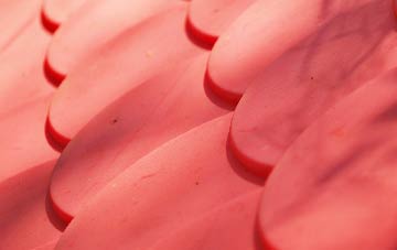 Isington plastic roof costs